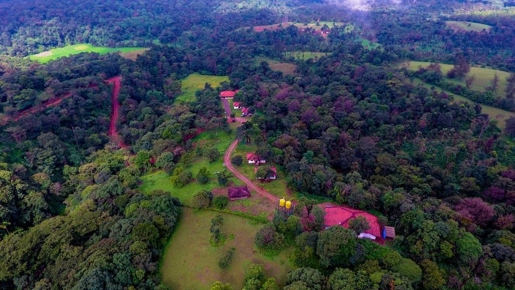 Aadhavana Homestay - Sakleshpur Māranhalli Esterno foto