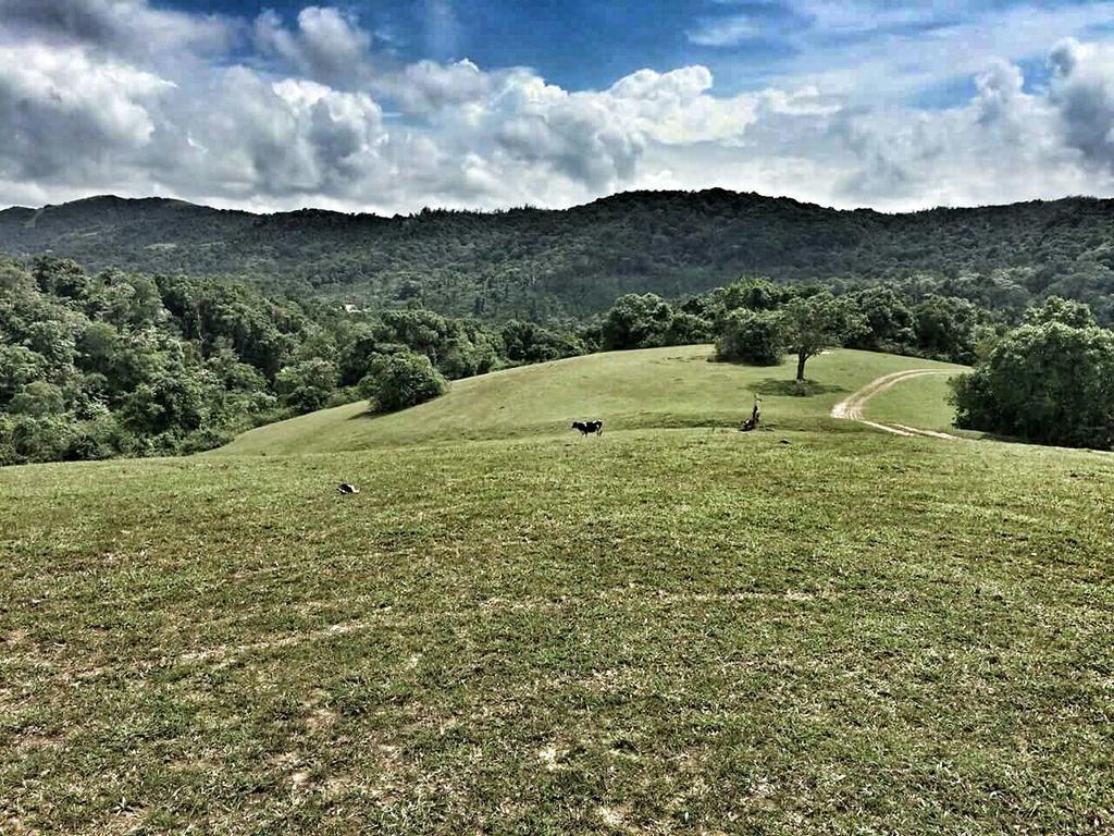 Aadhavana Homestay - Sakleshpur Māranhalli Esterno foto