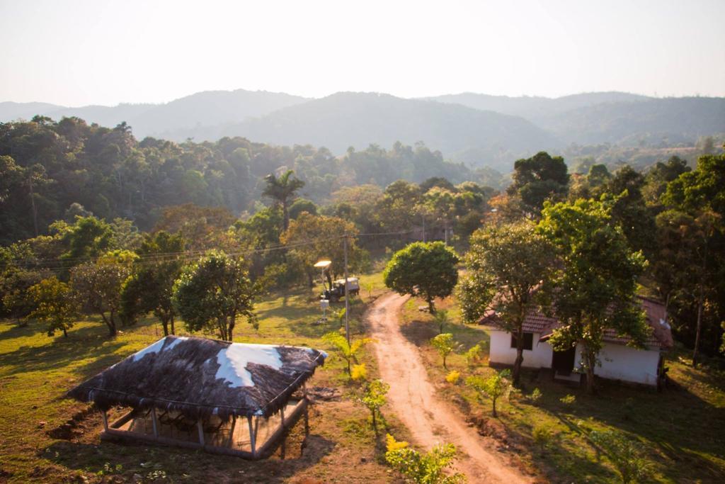 Aadhavana Homestay - Sakleshpur Māranhalli Esterno foto