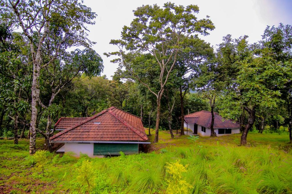 Aadhavana Homestay - Sakleshpur Māranhalli Esterno foto