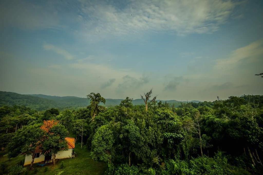 Aadhavana Homestay - Sakleshpur Māranhalli Esterno foto