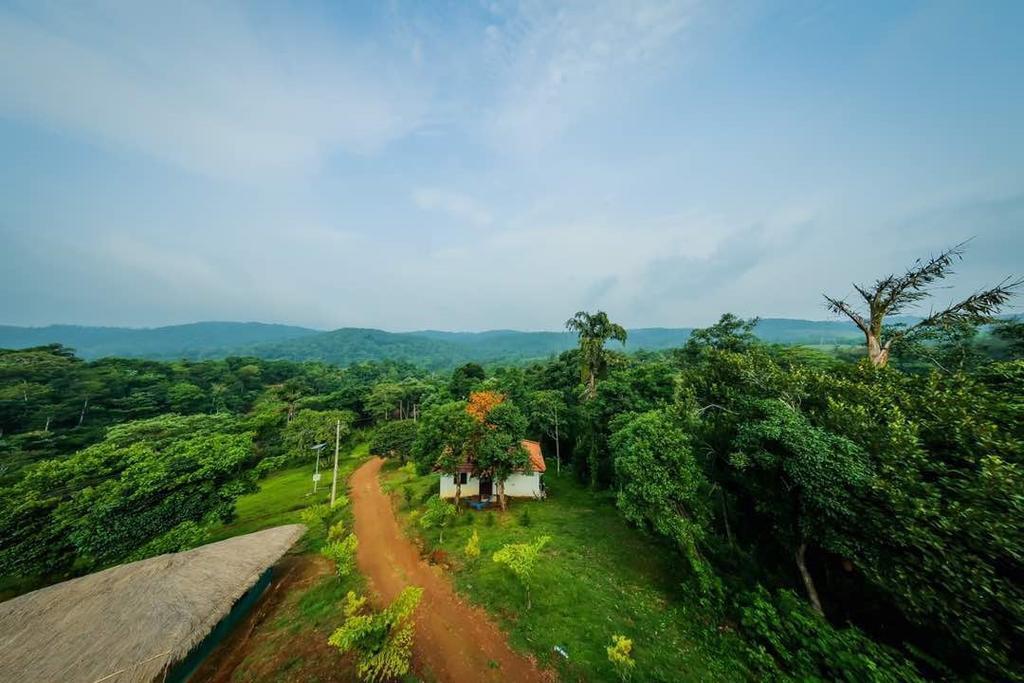 Aadhavana Homestay - Sakleshpur Māranhalli Esterno foto