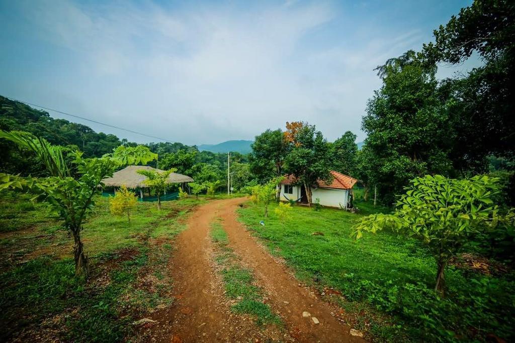 Aadhavana Homestay - Sakleshpur Māranhalli Esterno foto